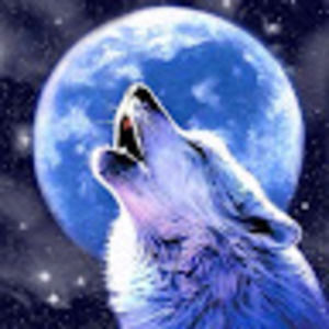 Meet your Posher, Alpha